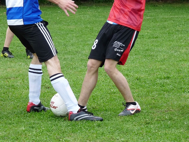 在这个充满 在这个充满