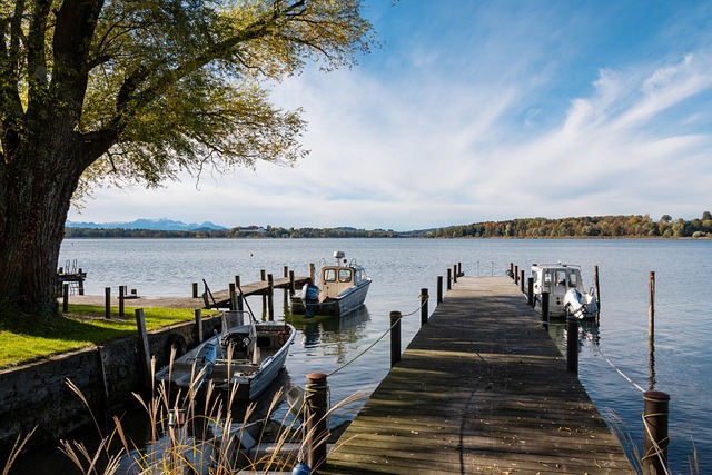 比赛的体育 比赛的体育